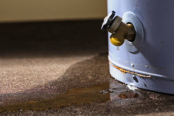 Best 24/7 water damage repair  in South Rosemary, NC