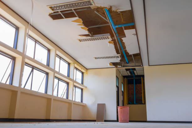 Best Sewage cleanup and water damage restoration  in South Rosemary, NC