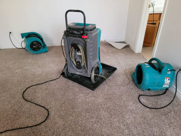 Best Water damage restoration near me  in South Rosemary, NC
