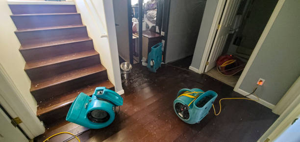 Best Water damage restoration services  in South Rosemary, NC
