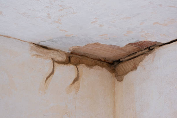 Best Flood restoration services  in South Rosemary, NC