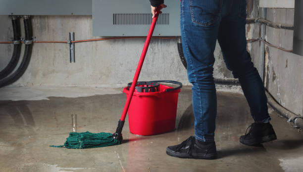 Best Professional water damage repair  in South Rosemary, NC
