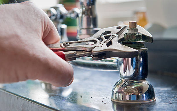 Best Local water damage restoration  in South Rosemary, NC