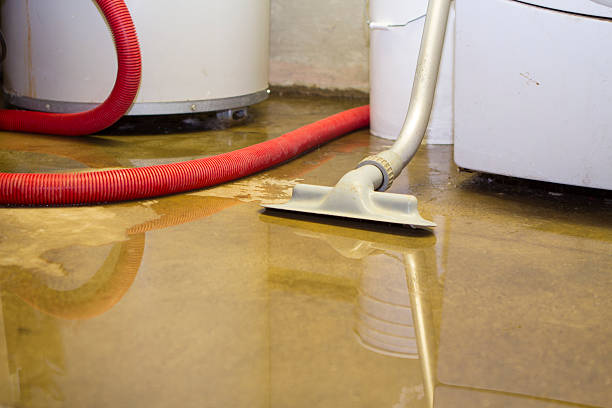  South Rosemary, NC Water damage restoration Pros