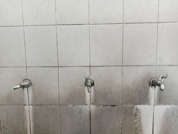 Best 24-hour water damage restoration  in South Rosemary, NC