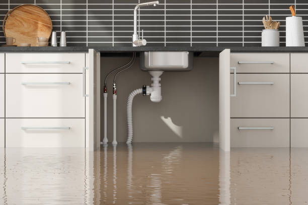 Best Flood restoration services  in South Rosemary, NC