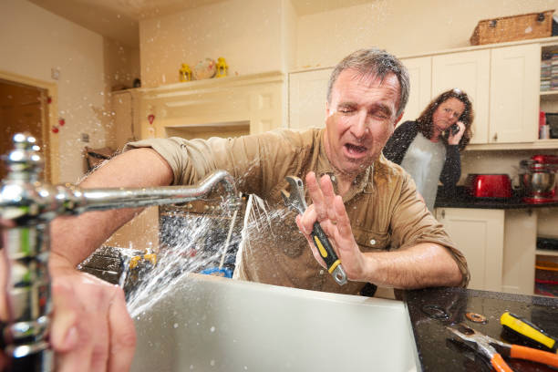 Best Mold removal after water damage  in South Rosemary, NC